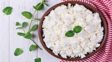 تخزين الجبن القريش في الثلاجة بطريقة خاطئة يفسده سريعًا.. نصائح خبراء التغذية للحفاظ عليه طازجًا 1